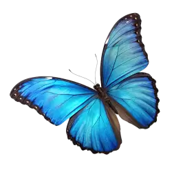 Imagen PNG para descargar